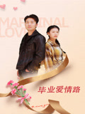 毕业爱情路海报